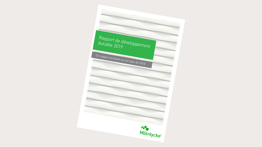 Notre rapport de développement durable 2019